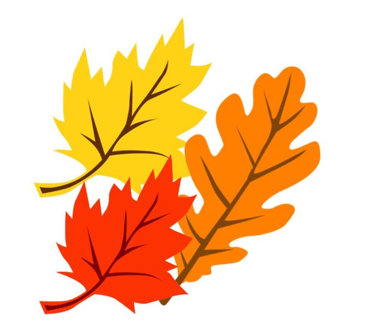 why-do-leaves-change-color-in-the-fall-fall-homeschool-science-series